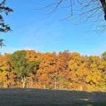 Gassaway Lake Campground