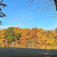 Gassaway Lake Campground ico