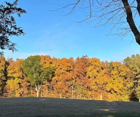 Gassaway Lake Campground