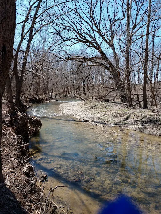 Thorntree Lake Mobile Home Prk Picture 7