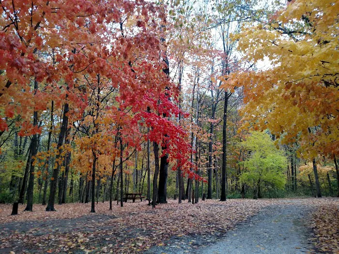 Hidden Paradise Campground Picture 10