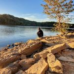 Primitive Camping Area