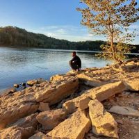 Primitive Camping Area ico