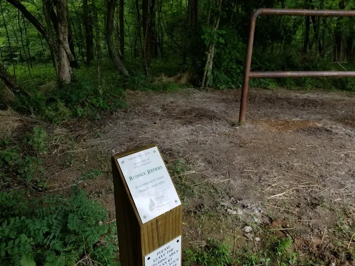Primitive Camping Area Picture 5