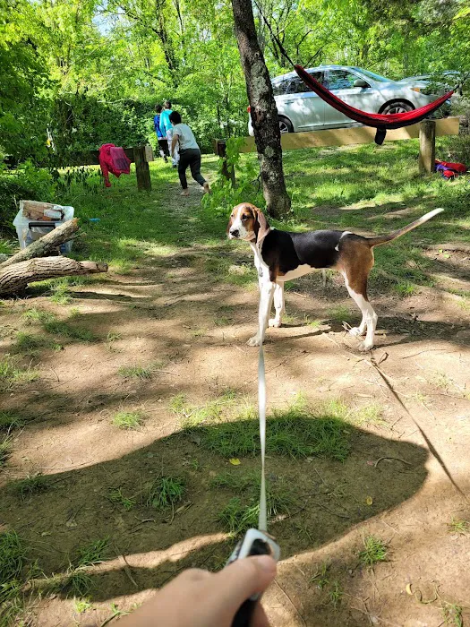 Primitive Camping Area Picture 9