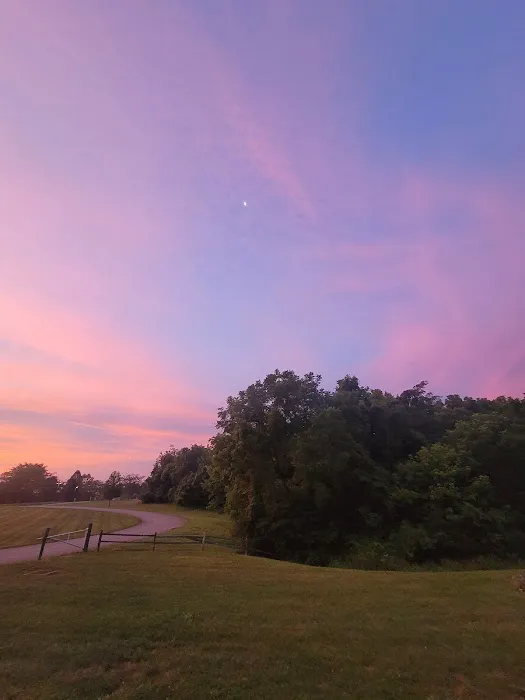 Taylorsville Lake Campground Picture 3