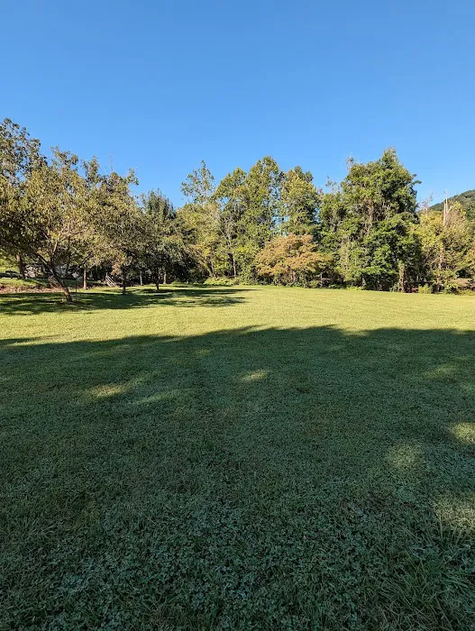 Double D Roost campground Picture 5