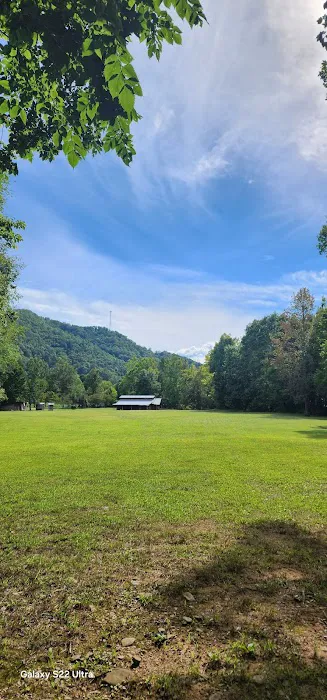 Double D Roost campground Picture 4