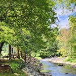 Double D Roost campground