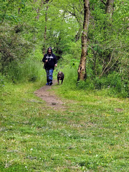 David Crockett Birthplace State Park Campground Picture 9
