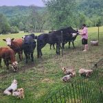 Pebble Mountain Family Campground