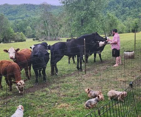 Pebble Mountain Family Campground