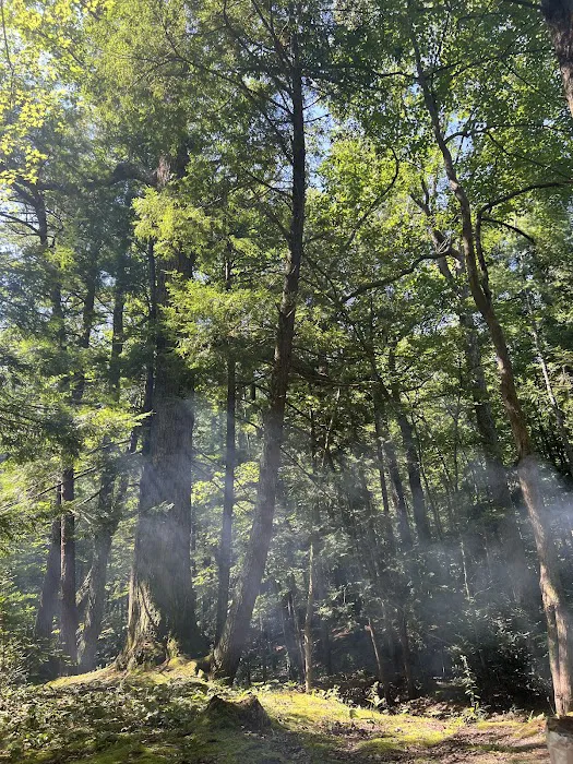 Horse Creek Campground Picture 9