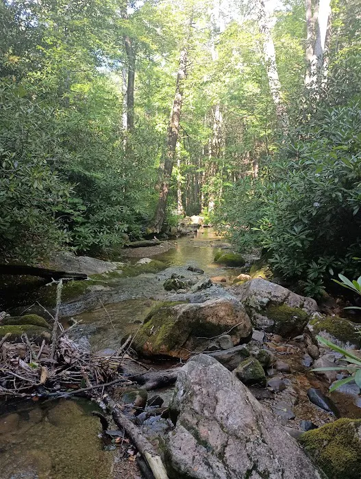 Horse Creek Campground Picture 1