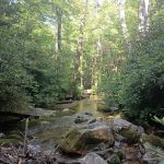 Horse Creek Campground