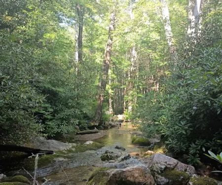 Horse Creek Campground