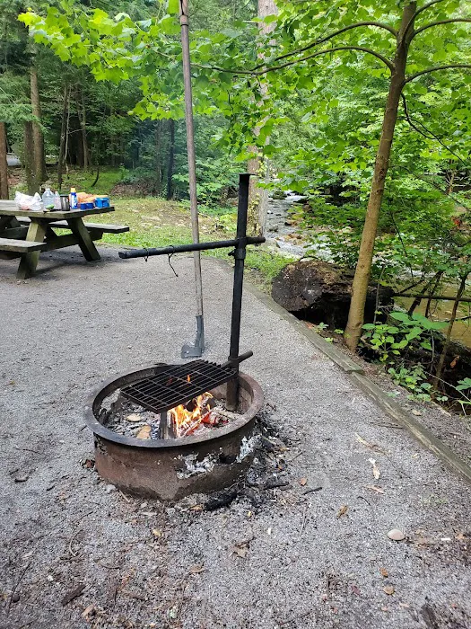 Horse Creek Campground Picture 7
