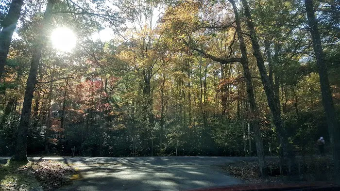 Horse Creek Campground Picture 5