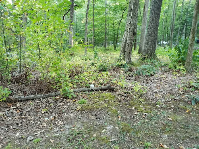Horse Creek Campground Picture 4