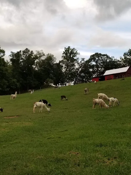 Lazy Llama Campground Picture 8