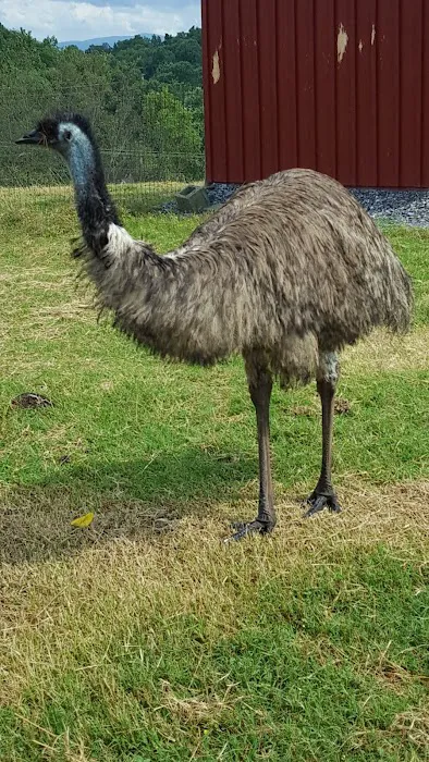 Lazy Llama Campground Picture 10