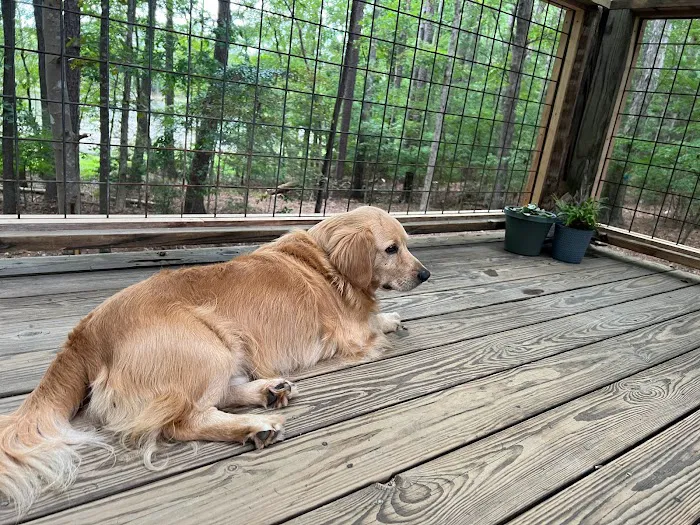 Prices Bridge Camping on Lake Murray Picture 9