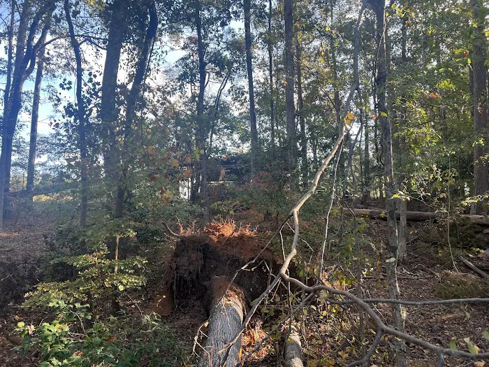 Prices Bridge Camping on Lake Murray Picture 8