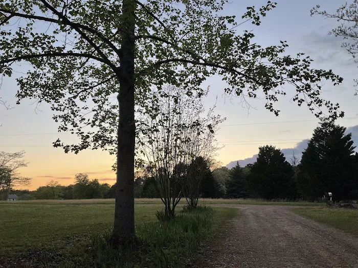 Prices Bridge Camping on Lake Murray Picture 2