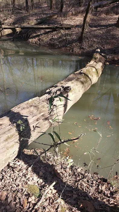 Middle Creek Landing Picture 2