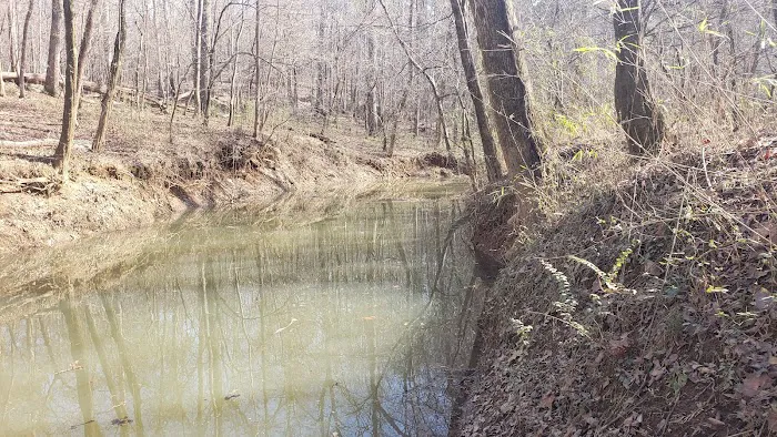 Middle Creek Landing Picture 6