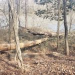 Middle Creek Landing