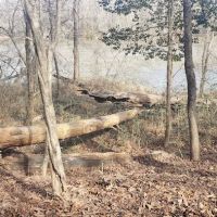 Middle Creek Landing ico