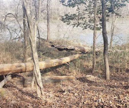 Middle Creek Landing