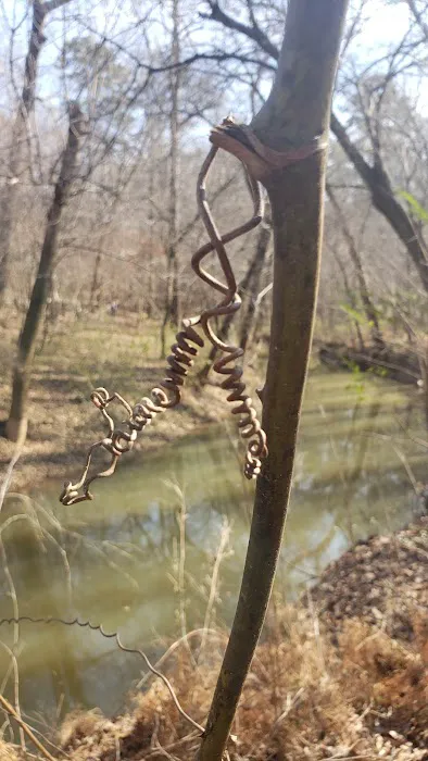 Middle Creek Landing Picture 3