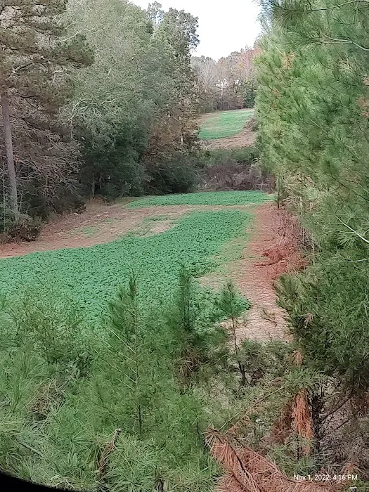 Leach Homestead campground Picture 1