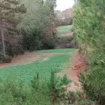 Leach Homestead campground