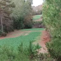 Leach Homestead campground ico