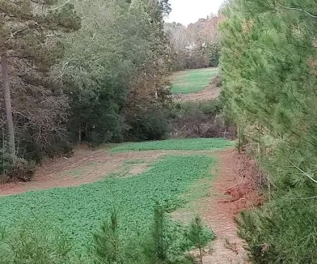 Leach Homestead campground