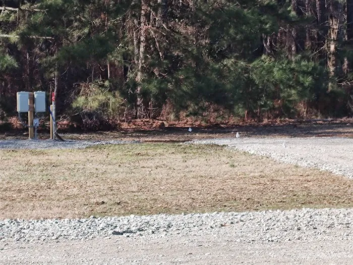 Leach Homestead campground Picture 4