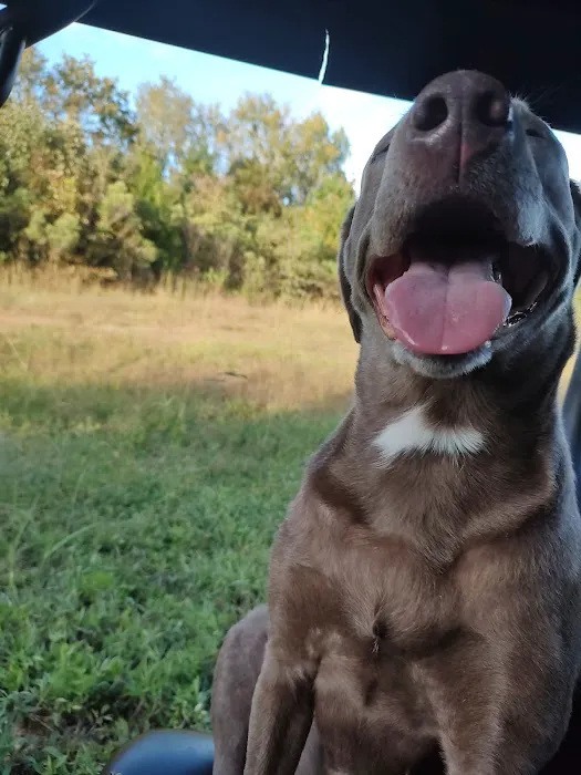 Leach Homestead campground Picture 9