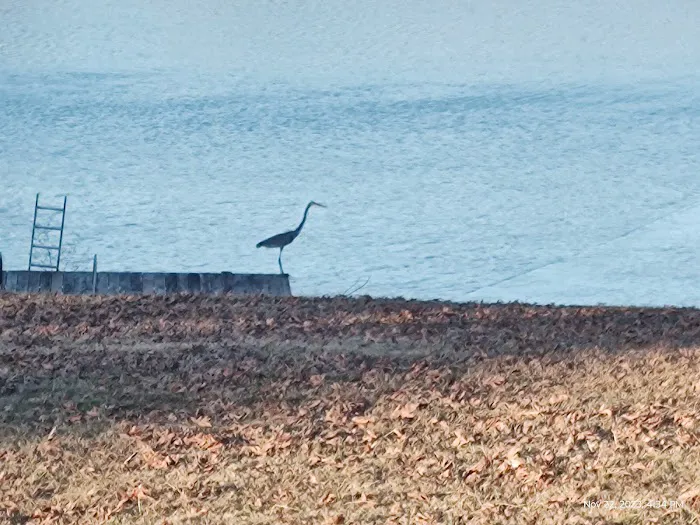 Leach Homestead campground Picture 10