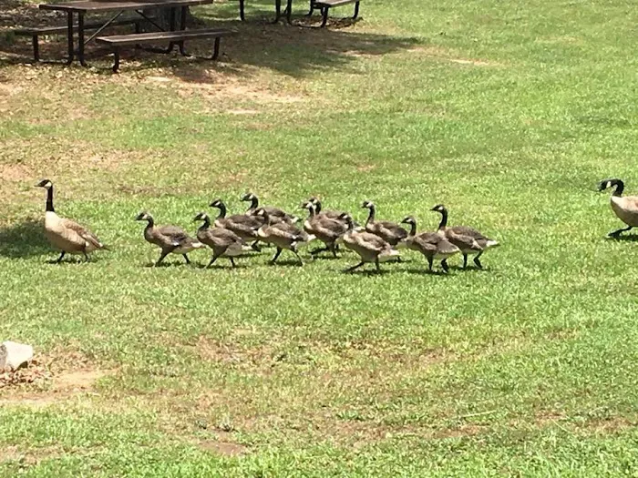 USAF Wateree Recreation Area Picture 5