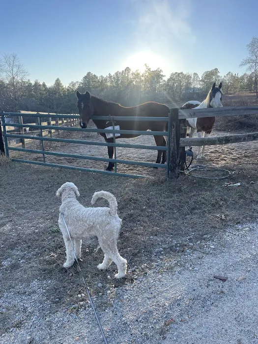 Renfroe Ranch Campground Picture 5