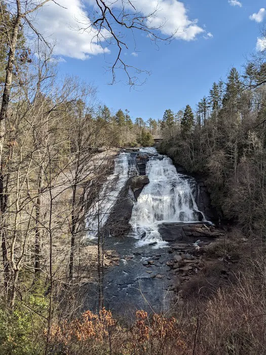 DuPont Campground Picture 4