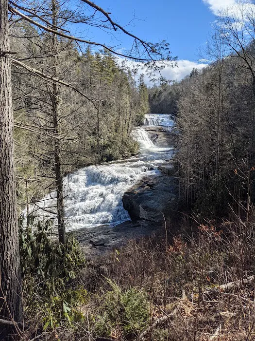 Dupont Yurts Picture 5