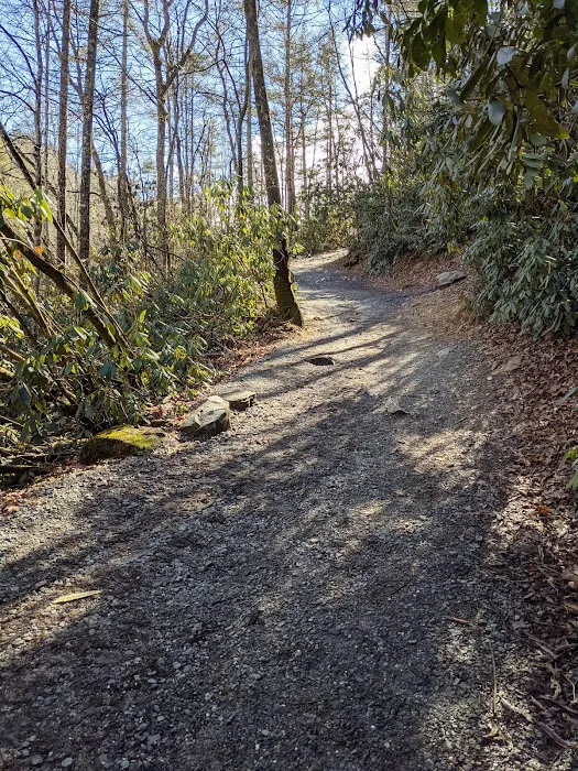Dupont Yurts Picture 10