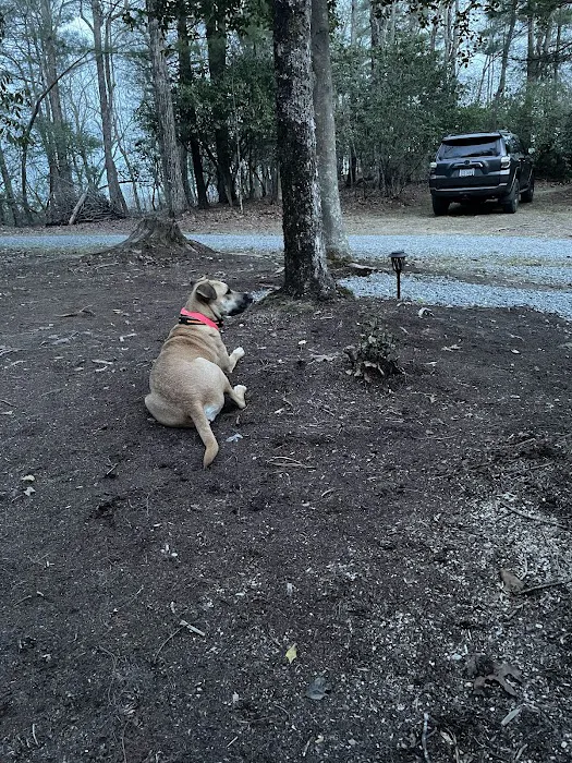 Singletrack Shack Picture 4