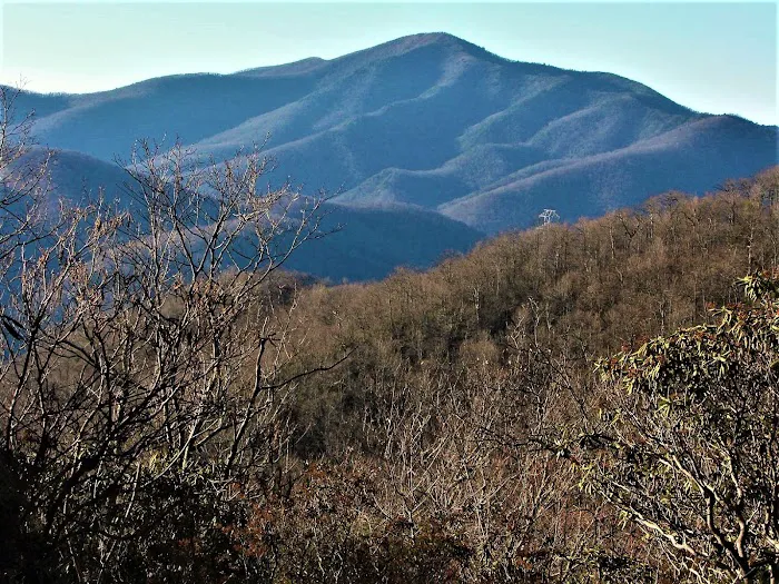 Ash Grove Mountain Cabins & Camping Picture 1