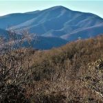 Ash Grove Mountain Cabins & Camping