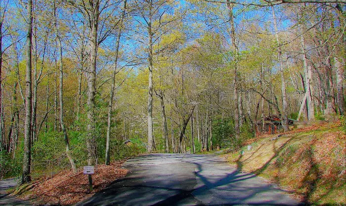 Ash Grove Mountain Cabins & Camping Picture 7